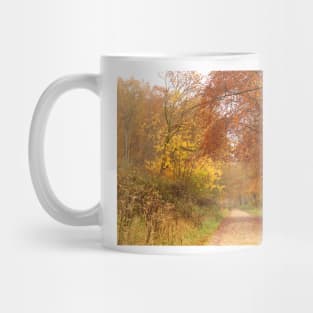 Forest Walk in Autumn Mug